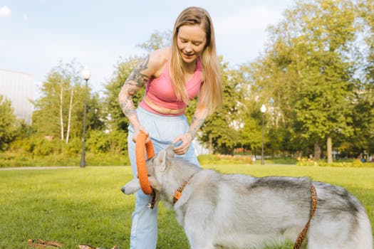 Best Behaviorists for Siberian Huskies (Reviews)