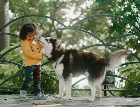 Huskies and Kids: Safety & Behavior Guidelines