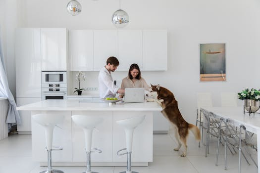 Prevent Husky Counter Surfing: Easy Training Steps