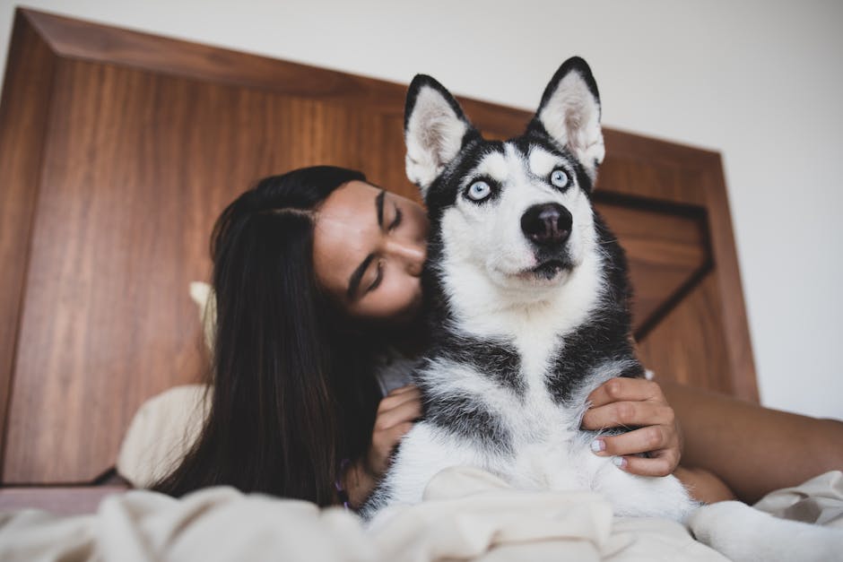 2. Build a Strong Bond Before You Begin