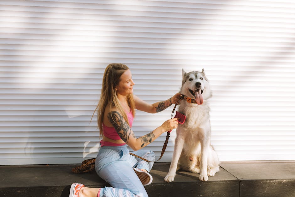 What is the best brush for huskies overall?