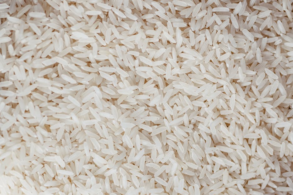 Key Ingredients to Look For in Hypoallergenic Kibble