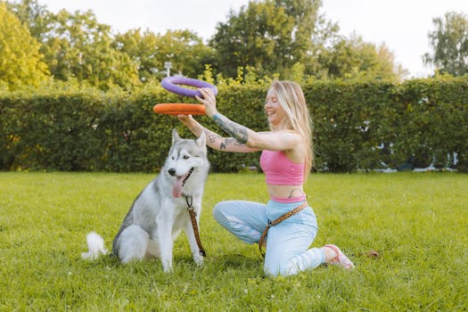 10 Basic Commands Every Husky Should Know