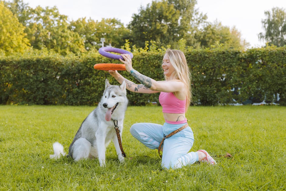 Essential Training Foundations for First-Time Owners