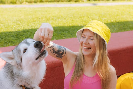 How to Train Your Husky with Hand Signals