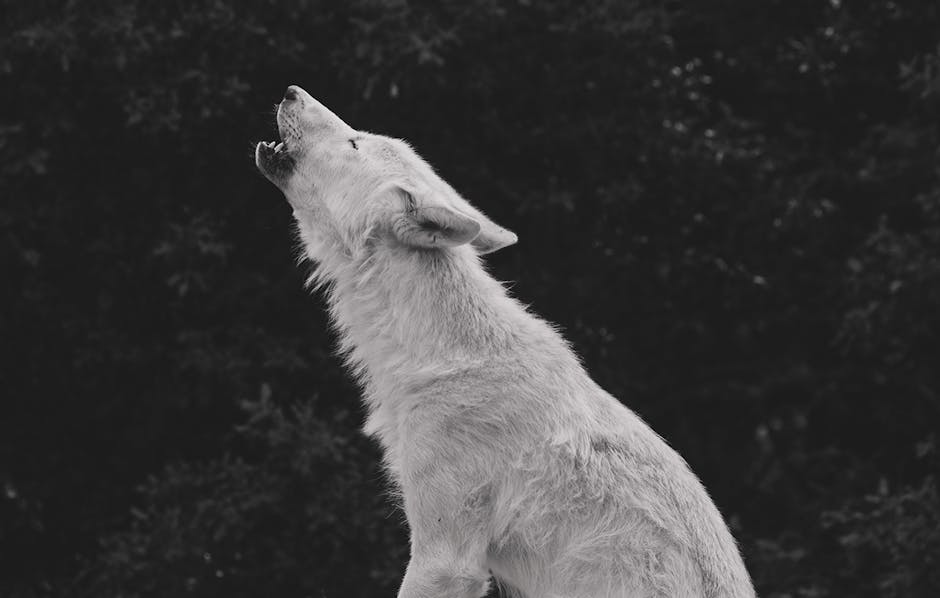 The Ancient Call of the Wild