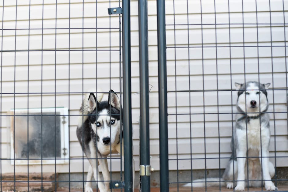 Training Exercises for Door Dashing