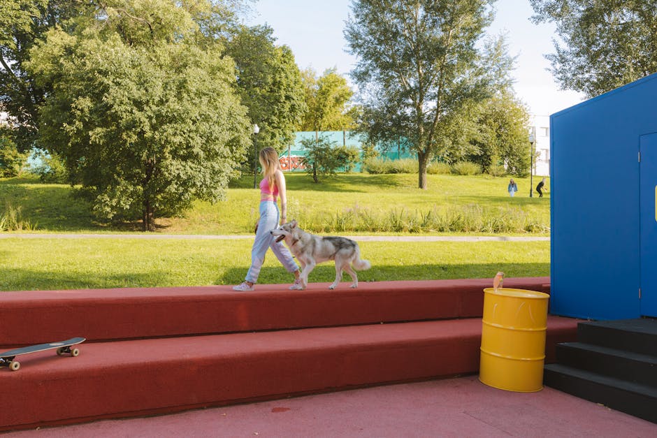 Step-by-Step Training Plan for a Reactive Husky
