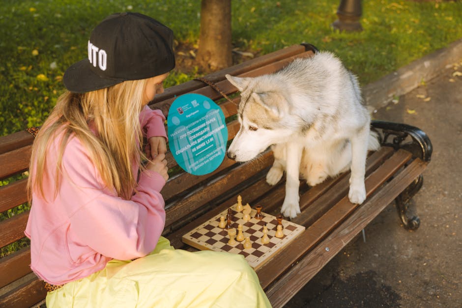 Setting Up for Success: Introducing a Husky to a Cat
