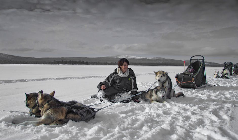 Essential Equipment for Sledding Training
