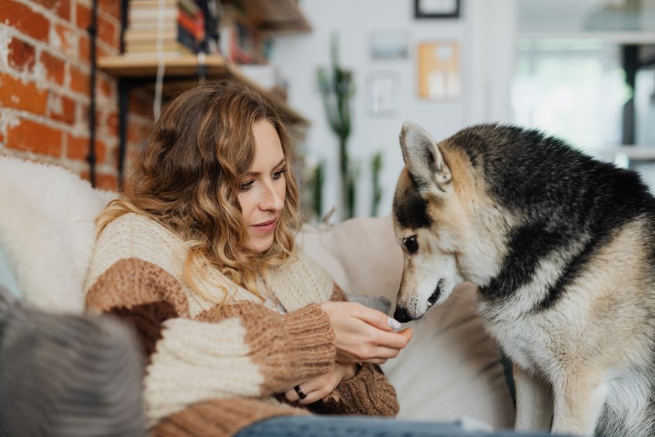 2. The Disappearing Treat Act