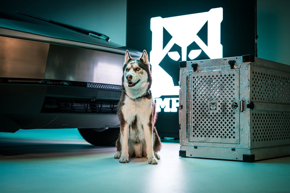 Why Crate Training is Essential for Huskies