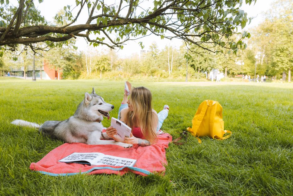 Top 5 Books for Husky Training