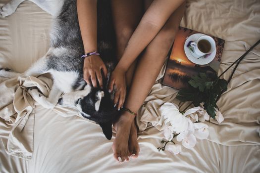 Best Bed for Huskies: Top Picks & Buying Guide
