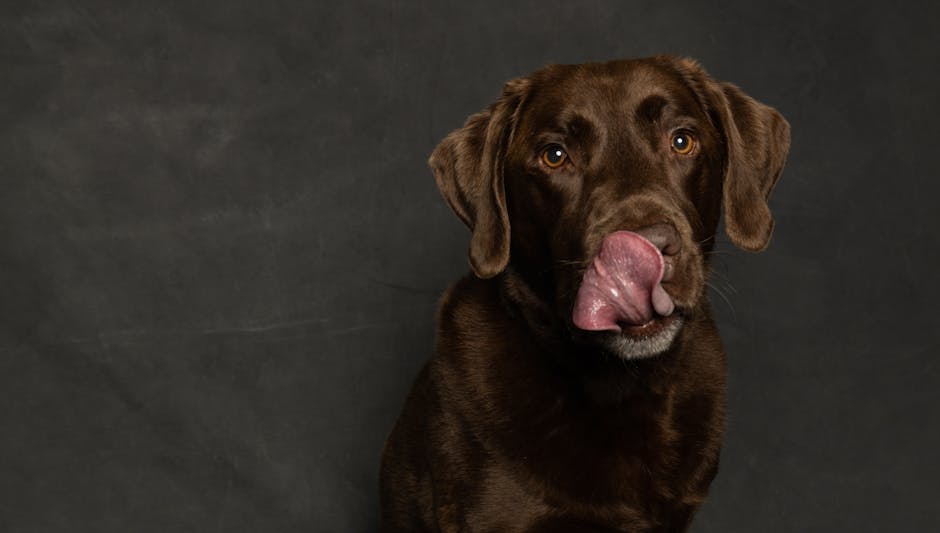 When Licking Becomes a Problem