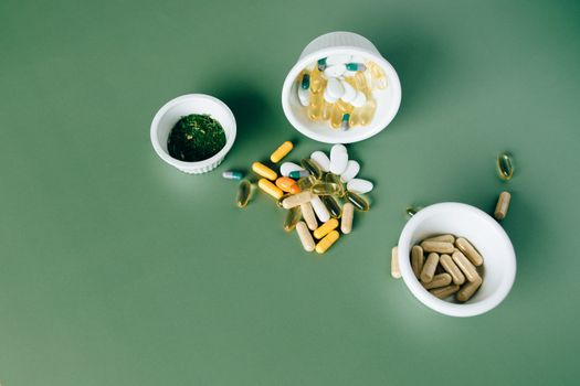 Probiotics for Huskies: Top Benefits and Best Brands