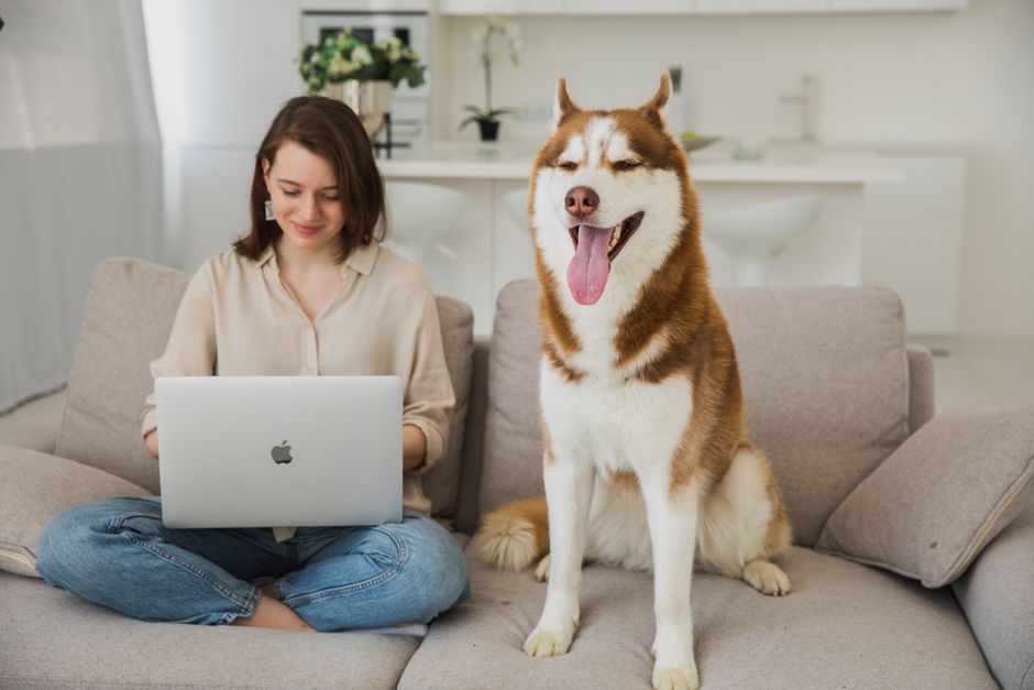 Top Flea Treatments: Types and Comparisons