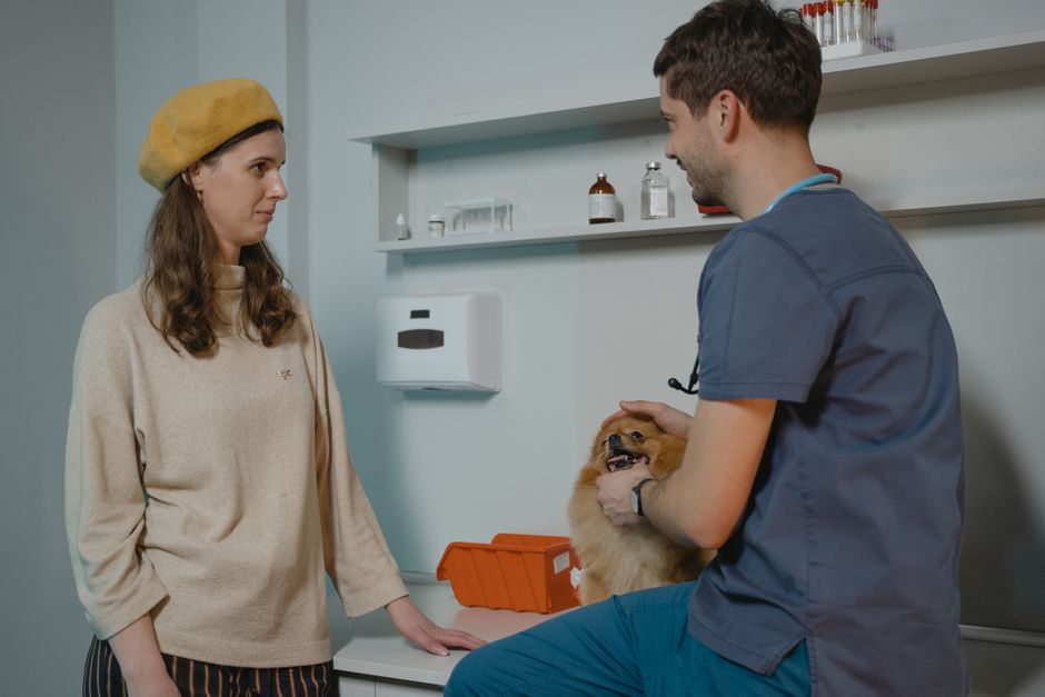 General Guidelines for Vet Visit Frequency