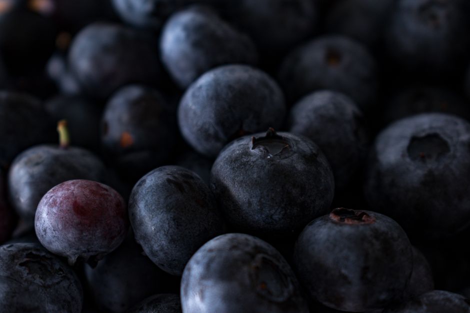 How to Feed Blueberries to Your Husky