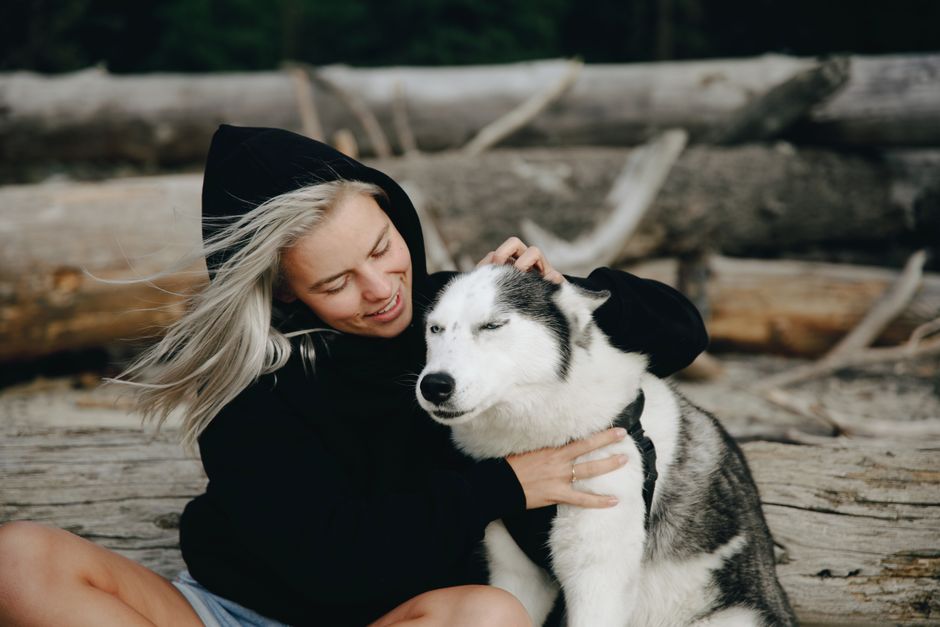 Understanding Your Husky's Independent Nature