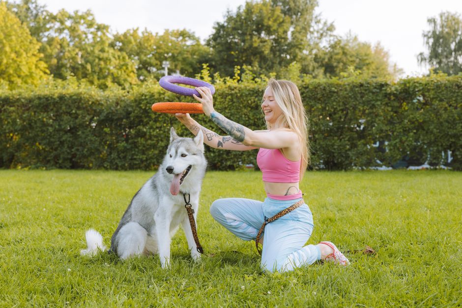 Why Recall Training is Crucial for Huskies