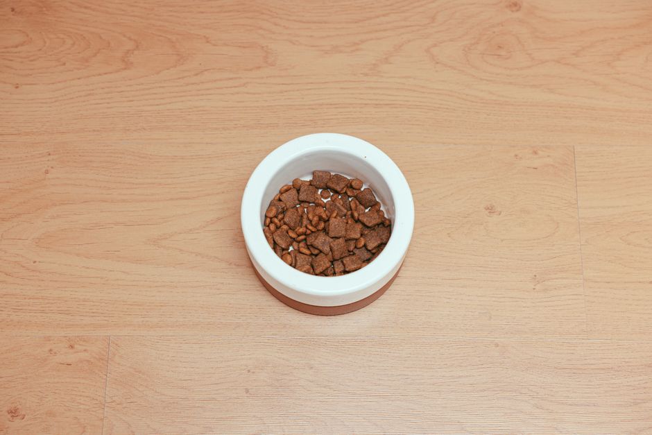 The Science Behind Grain-Free Diets