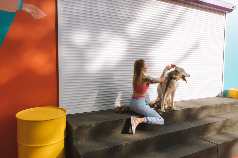 Step-by-Step Guide to Help Your Husky Overcome Fear