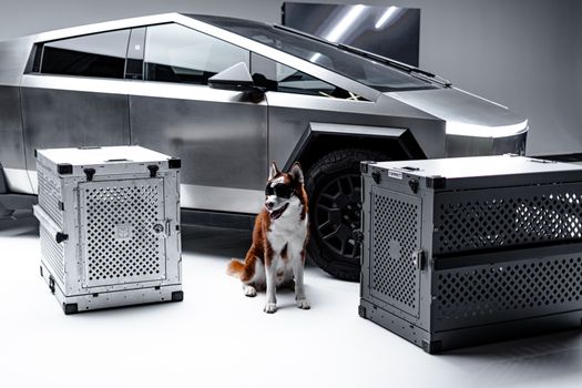 How to Fix a Husky That Hates the Crate: Expert Tips