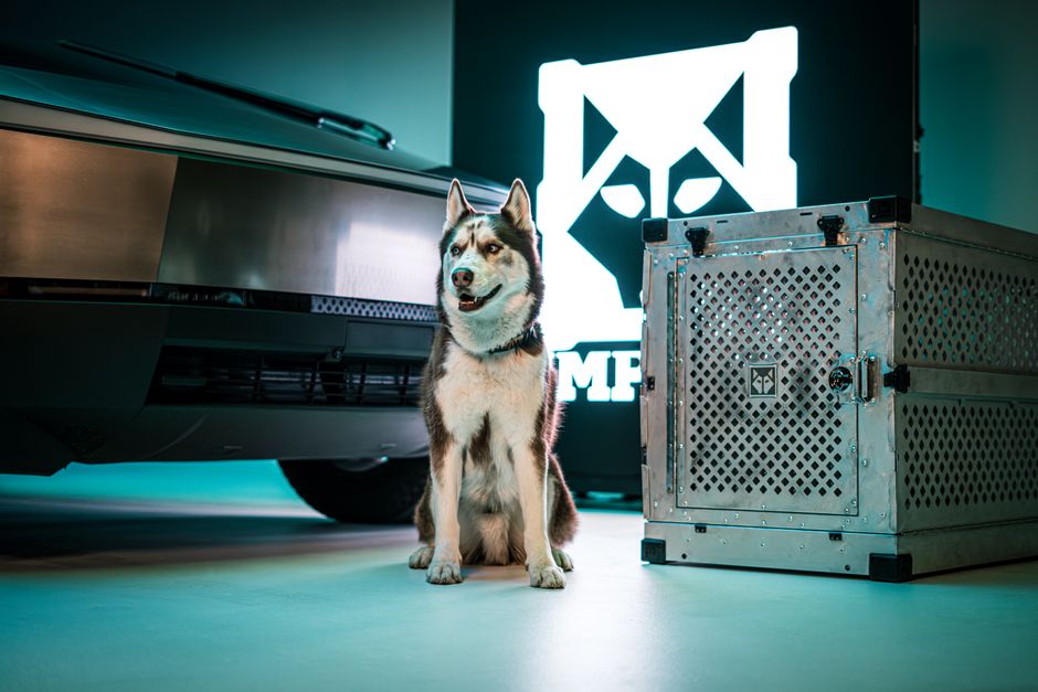 Step-by-Step Guide to Crate Training a Stubborn Husky