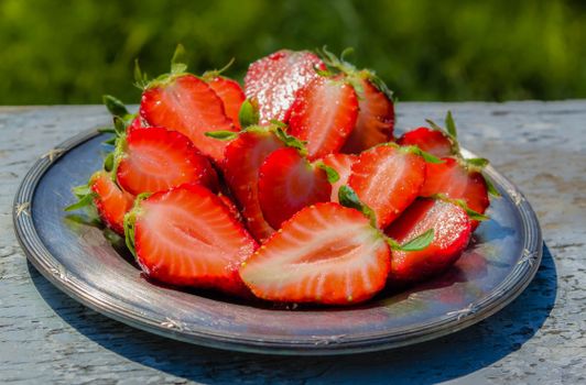 Can Huskies Eat Strawberries? A Complete Guide
