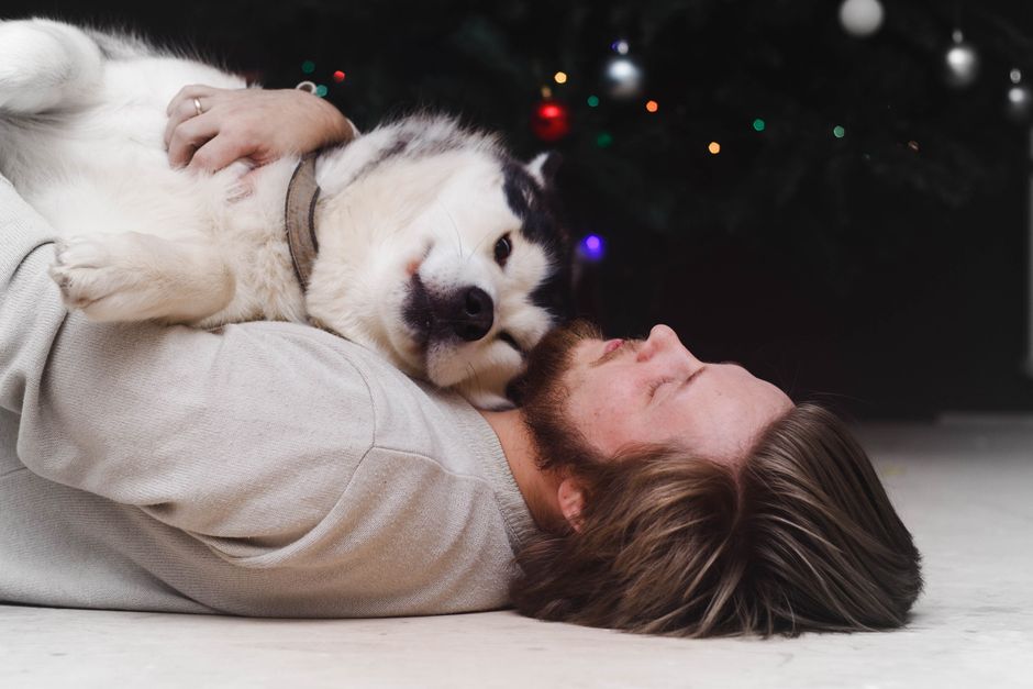 Reasons Huskies Sleep on Their Backs