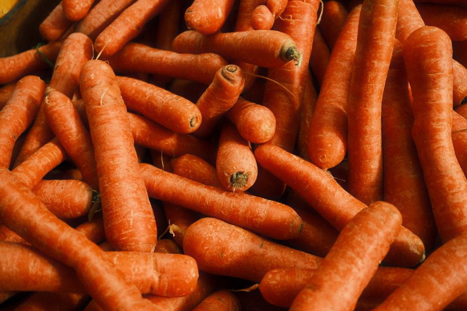 Nutritional Benefits of Carrots for Huskies