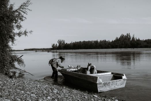 Can Huskies Eat Fish? A Safe Feeding Guide