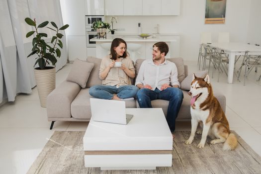 Why Do Huskies Dig Carpet? Causes & Solutions