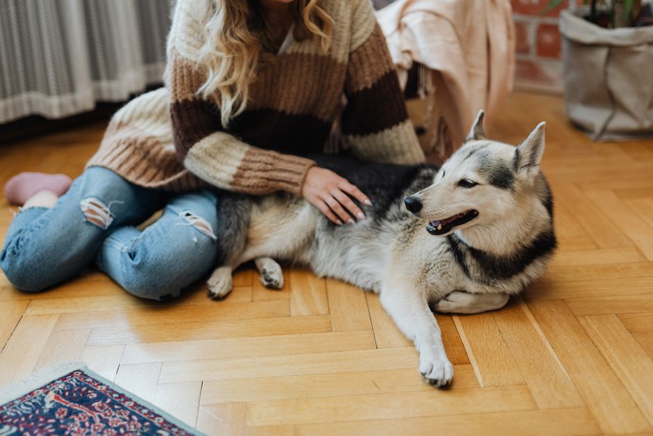 Preparing Your Home and Family