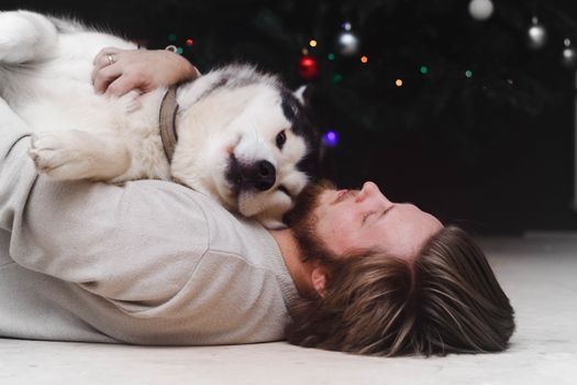 Husky Whining at Night: Causes & Solutions for Peaceful Sleep