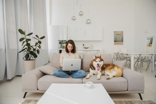 Husky Apartment Training: Essential Tips for Success