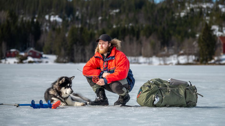 How to Choose the Best Fish Oil for Your Husky