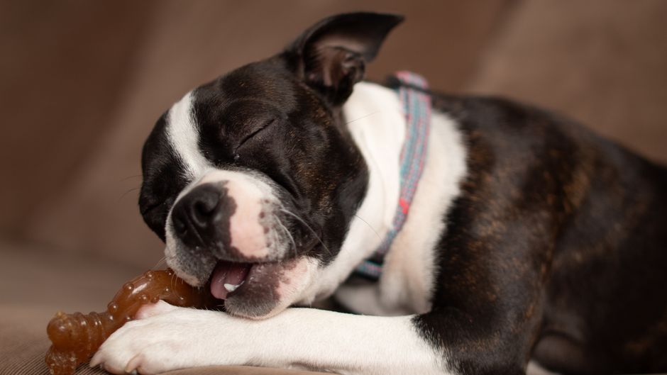 Essential Tools for Chewing Prevention