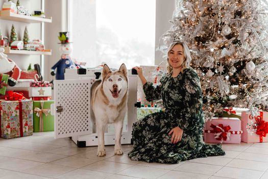 Husky Crate Anxiety: Causes, Solutions & Prevention Guide