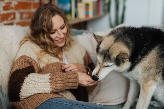 Husky Feeding After Exercise: A Complete Guide