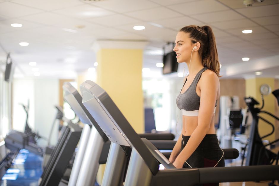 Benefits of Treadmill Training for Huskies