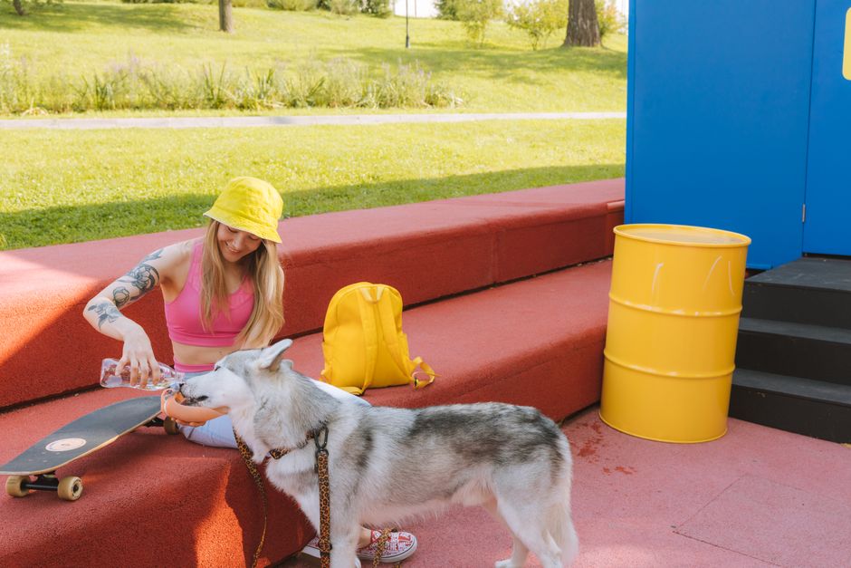 How Much Water Does a Husky Need Daily?