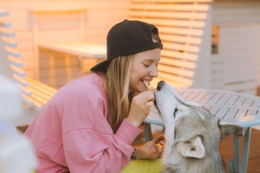 Husky Feeding Before Bedtime: Best Practices