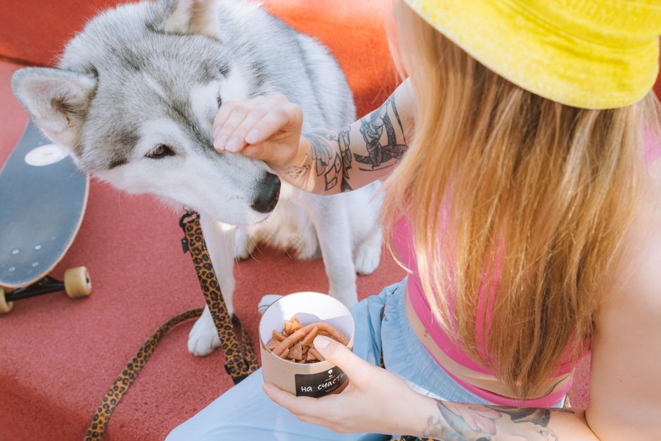 Understanding Your Husky's Eating Habits