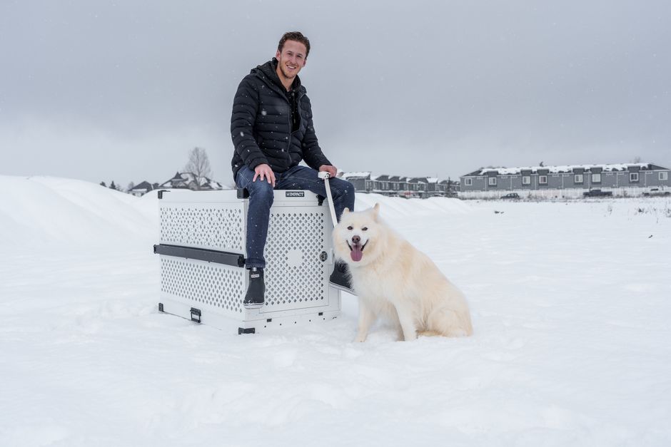 Best Crate for Huskies (2026) — Sizes, Materials & Buyer Guide
