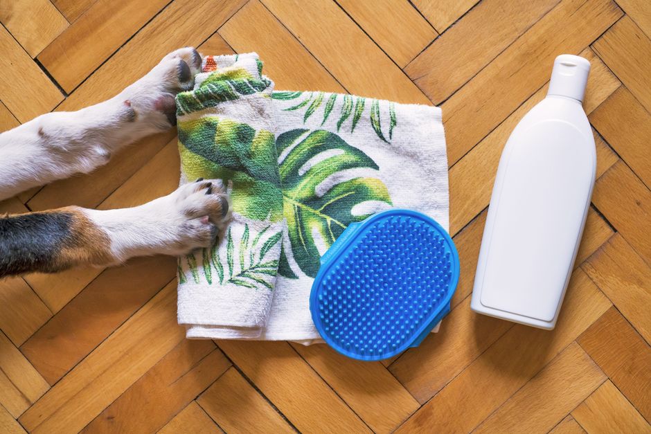 Best Shampoo for Huskies (2026) — Sensitive Skin & Double Coat